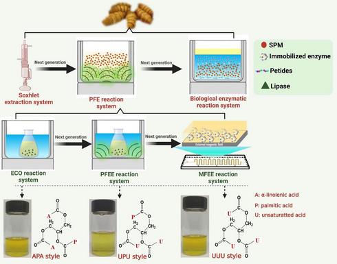 廣西蠶業信息網 網絡科技驅動下的技術創新與發展